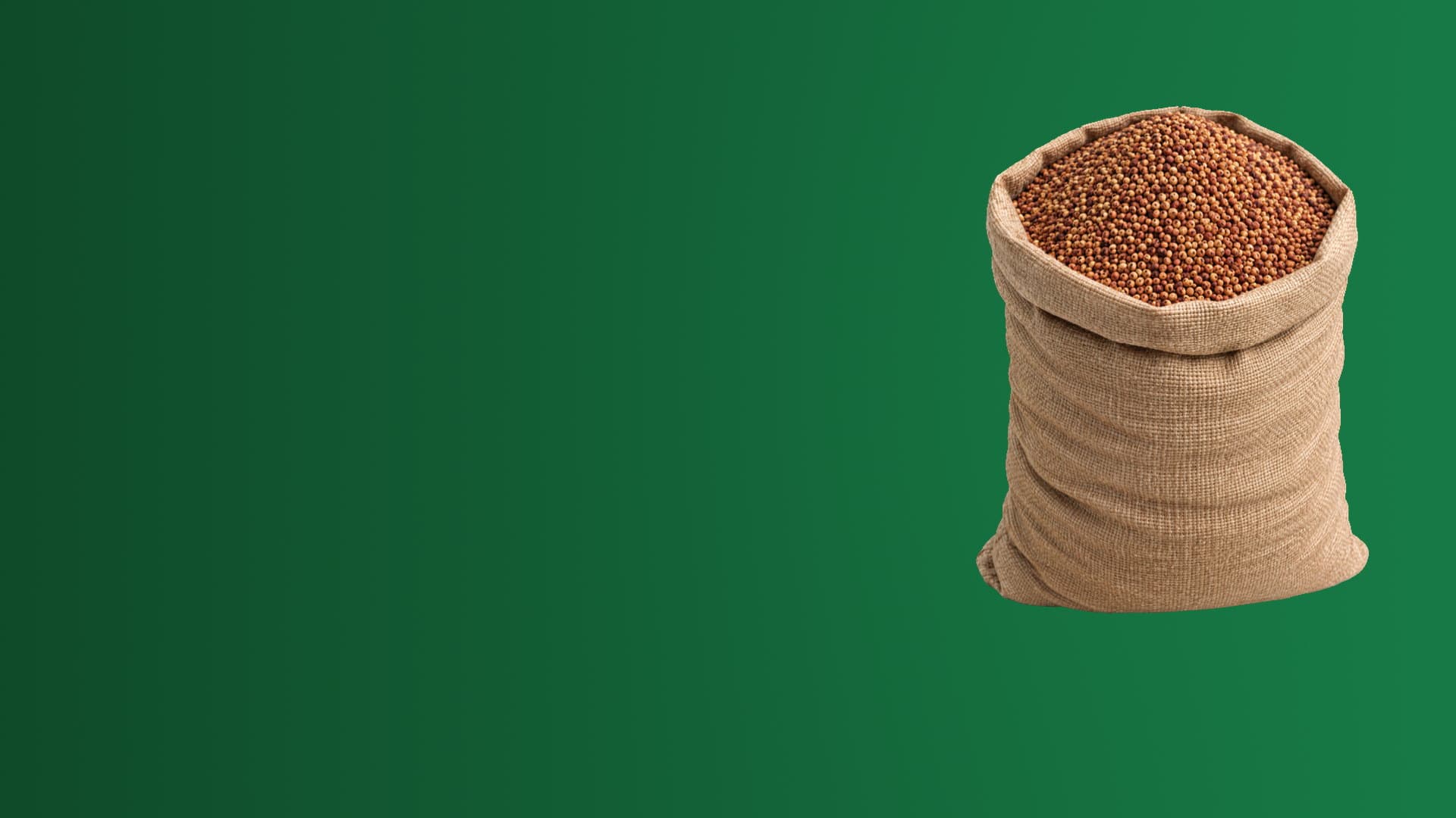 جوال من حبوب الذرة الرفيعة